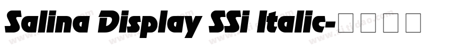 Salina Display SSi Italic字体转换